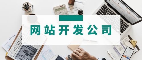 3家專業(yè)網(wǎng)站開發(fā)公司簡(jiǎn)介 哪家的網(wǎng)站建設(shè)服務(wù)更適合你的運(yùn)營(yíng)管理需求？